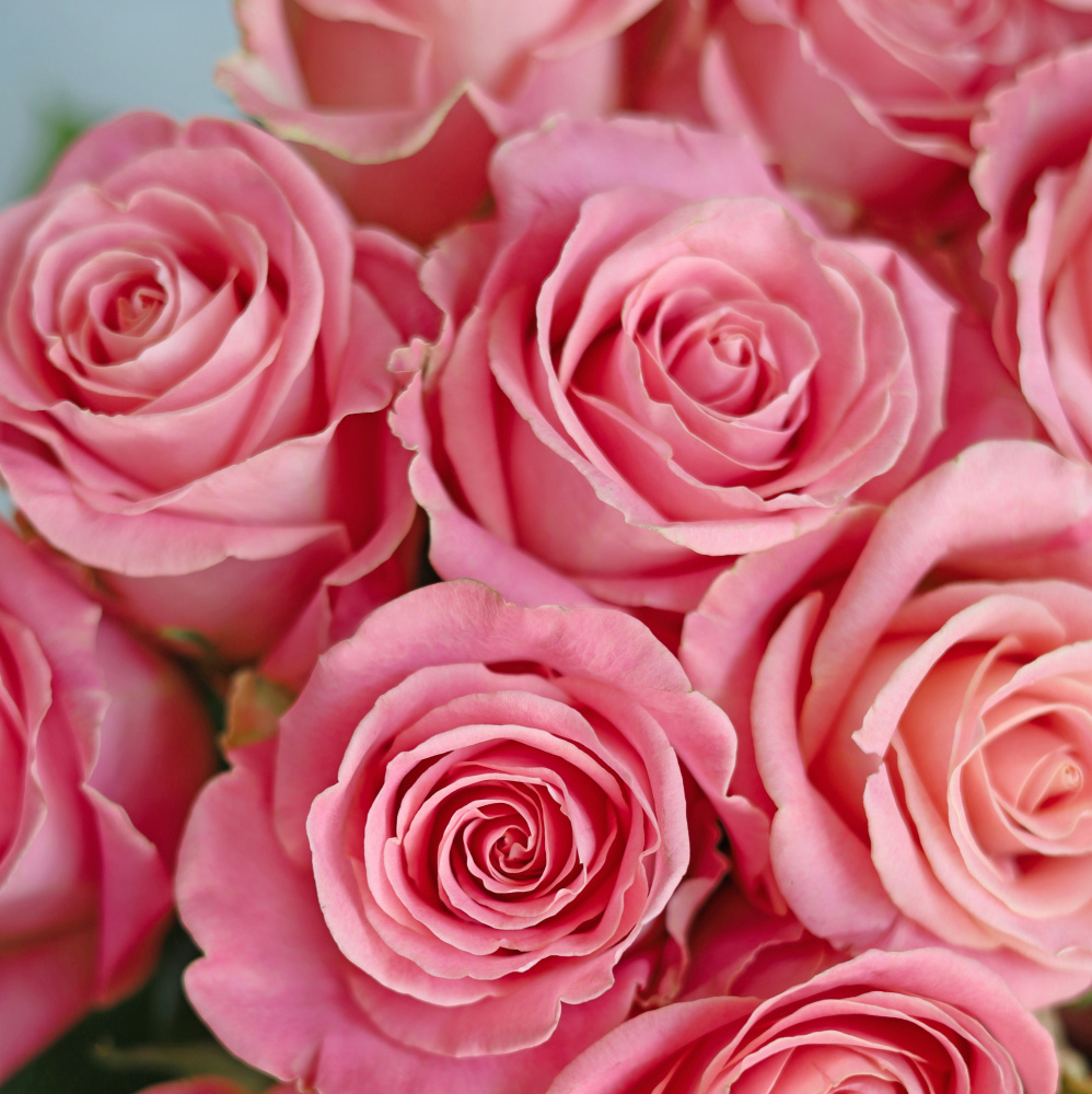 БУКЕТ 21 РОЗ HERMOSA БУКЕТ 21 РОЗ HERMOSA