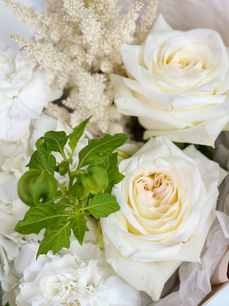 БЕЛЫЙ БУКЕТ С ПИОНОВИДНОЙ РОЗОЙ И ГОРТЕНЗИЕЙ БЕЛЫЙ БУКЕТ С ПИОНОВИДНОЙ РОЗОЙ И ГОРТЕНЗИЕЙ