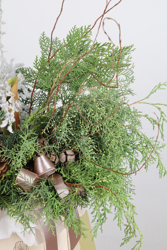 ХВОЙНЫЙ МИКС В БАРХАТНОЙ КОРОБКЕ С ЗАСНЕЖЕННЫМ АСПАРАГУСОМ И БОЛЬШИМИ ШИШКАМИ